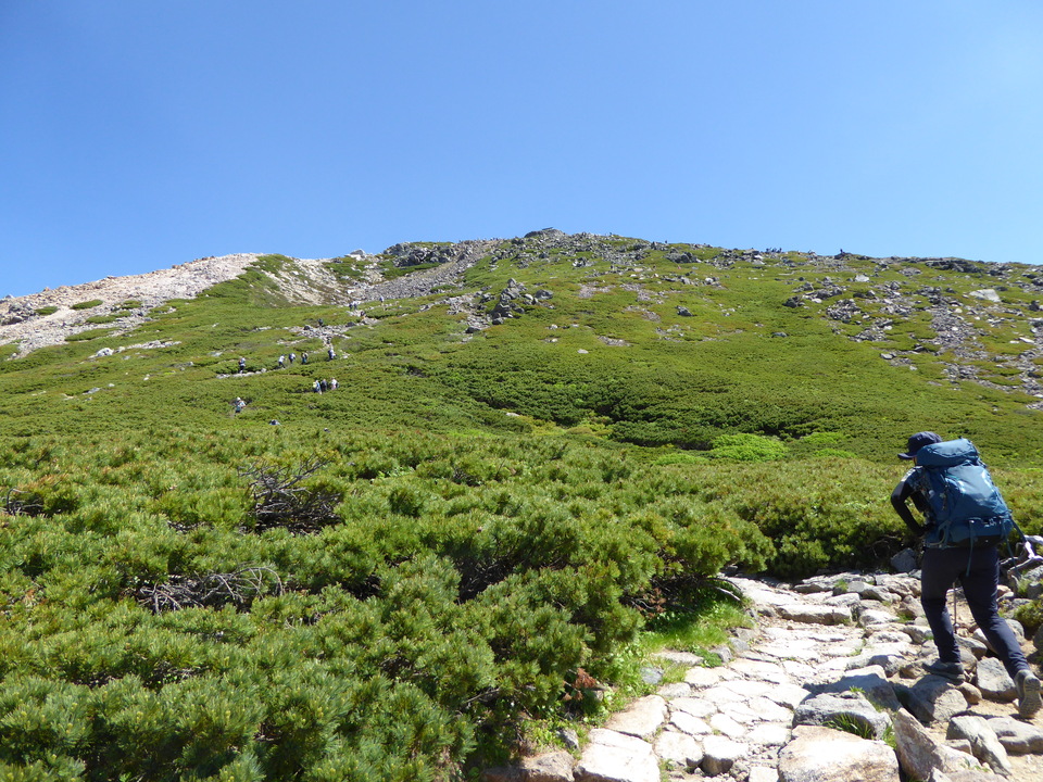 P1040368_mid.jpg