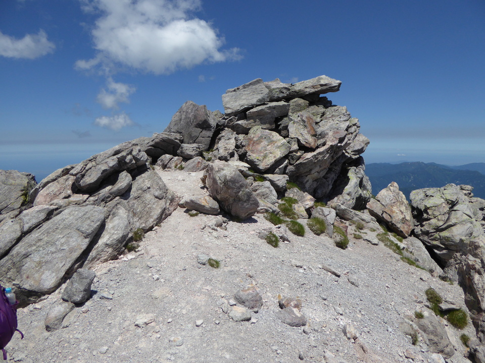 P1040431_mid.jpg