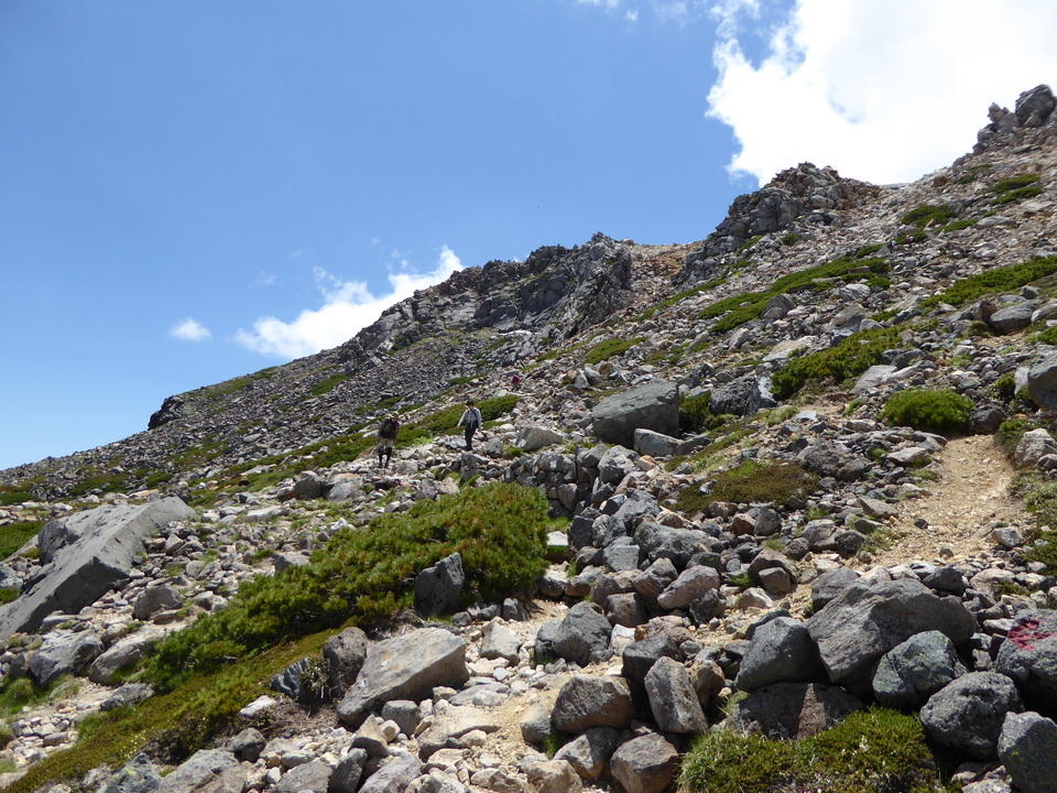 P1040446_mid.jpg