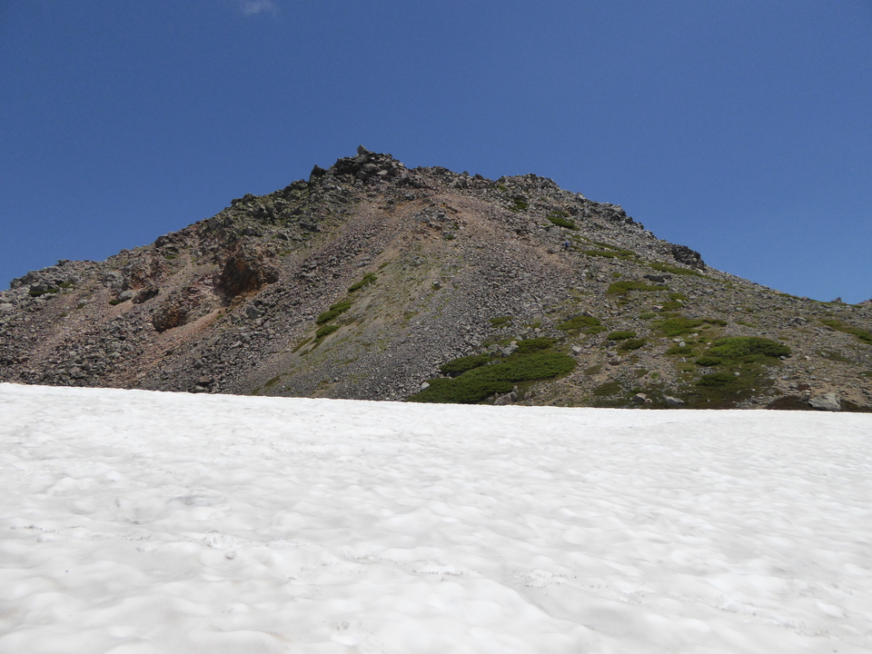 P1040448_mid.jpg