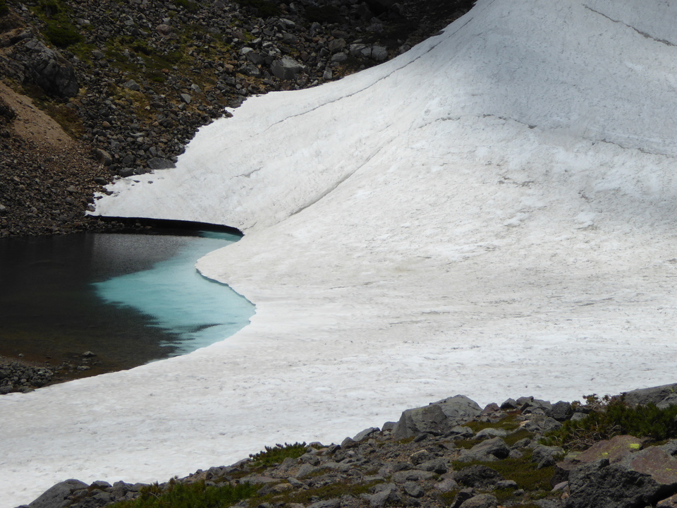P1040452_mid.jpg