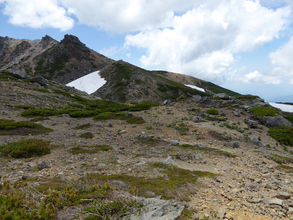 P1040470_mid.jpg