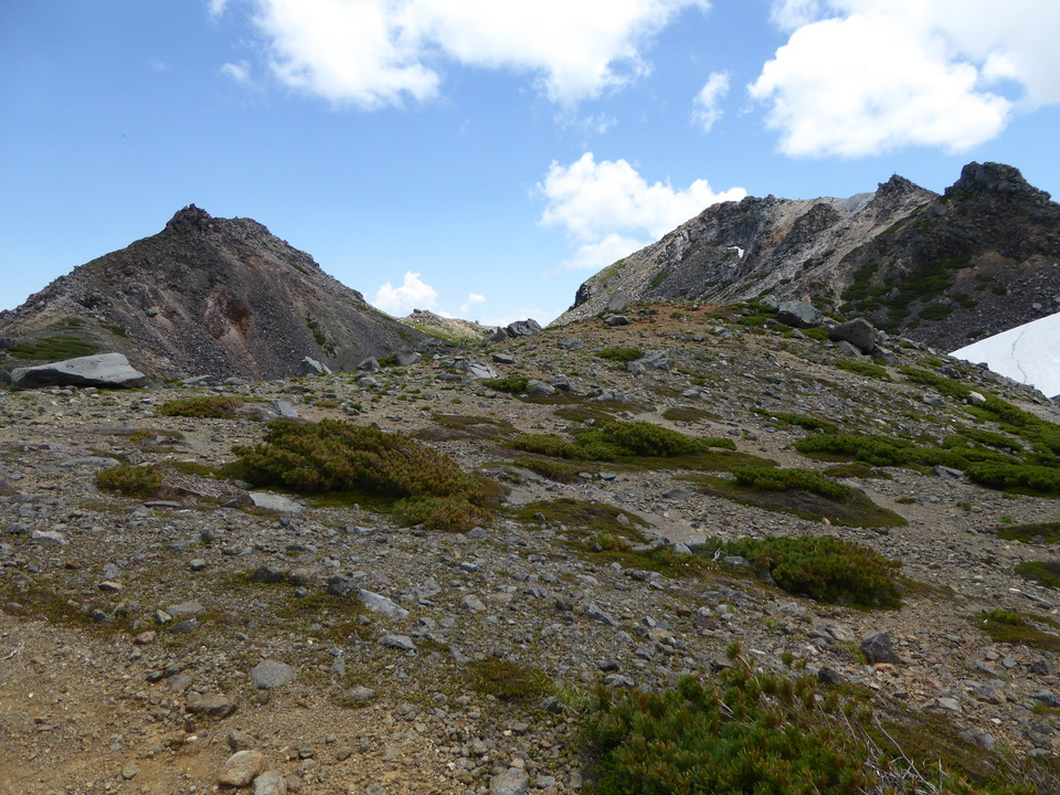 P1040472_mid.jpg