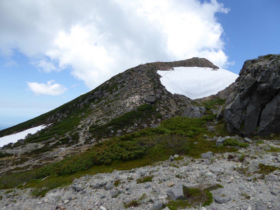 P1040473_mid.jpg