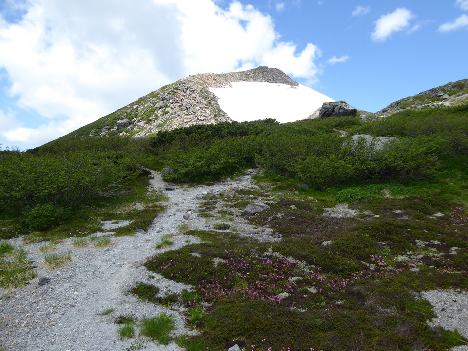 P1040477_mid.jpg