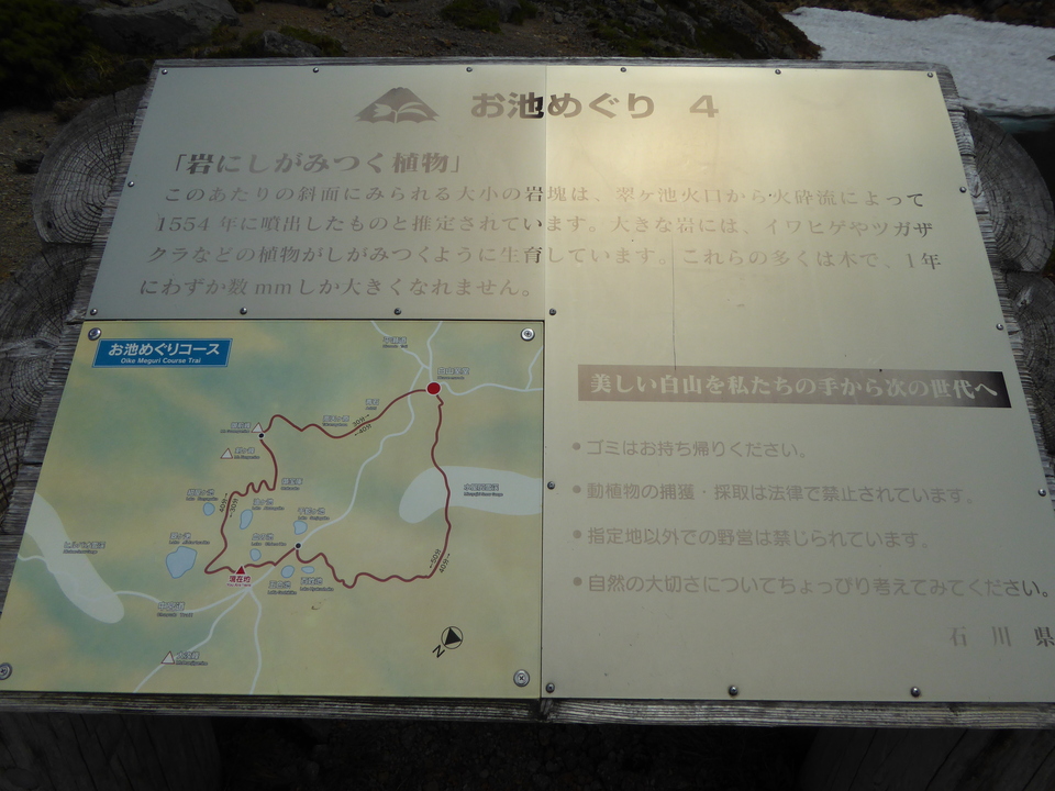 P1040484_mid.jpg