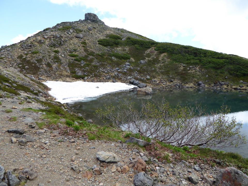 P1040486_mid.jpg