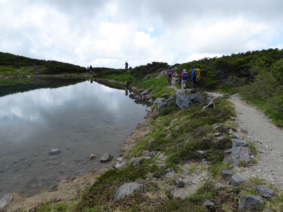 P1040487_mid.jpg