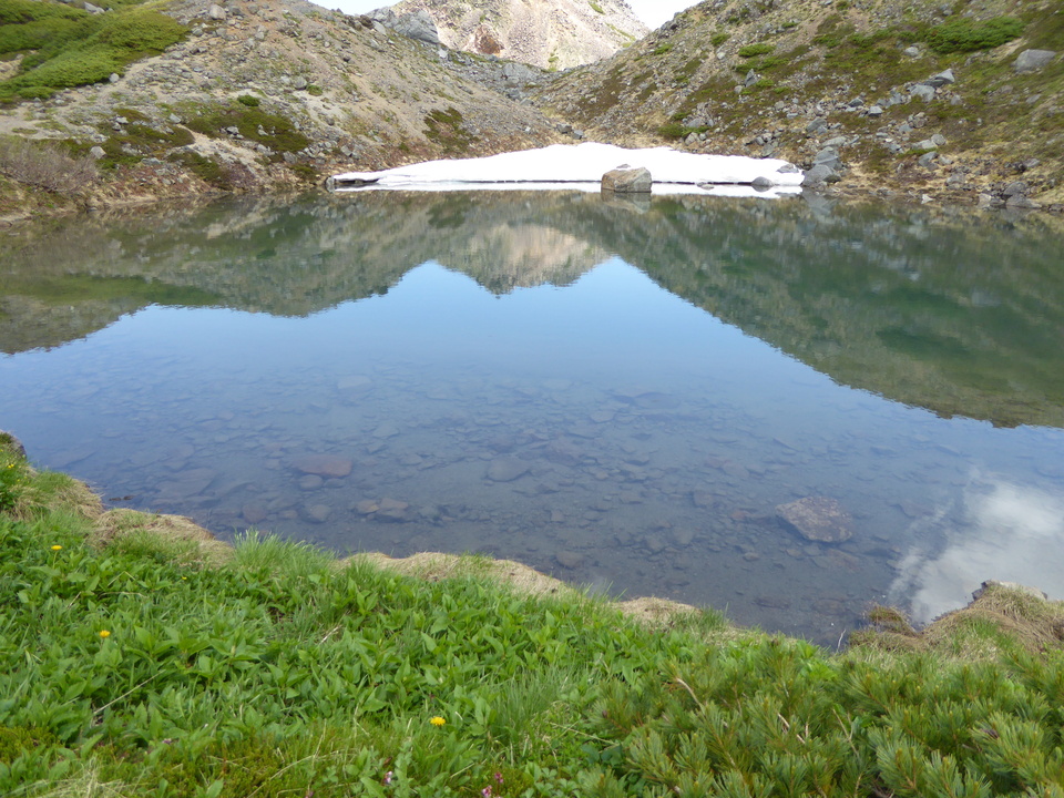 P1040488_mid.jpg
