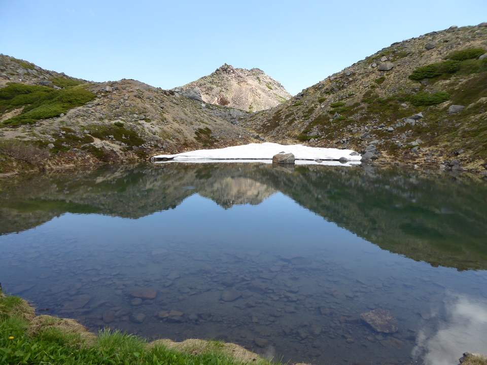 P1040489_mid.jpg