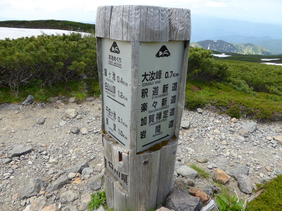 P1040492_mid.jpg