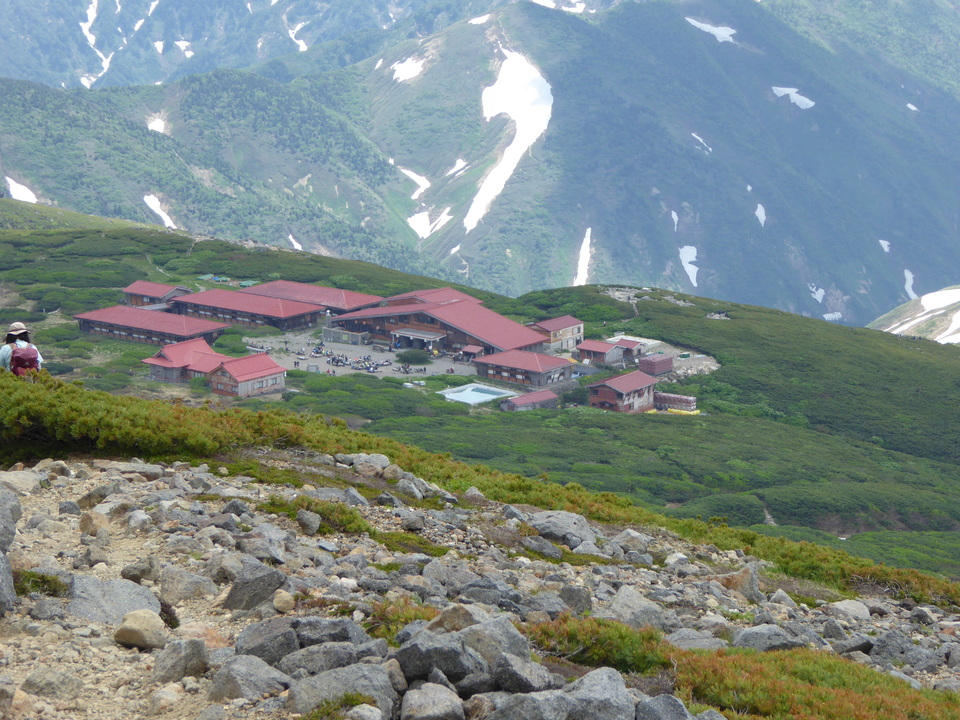 P1040516_mid.jpg