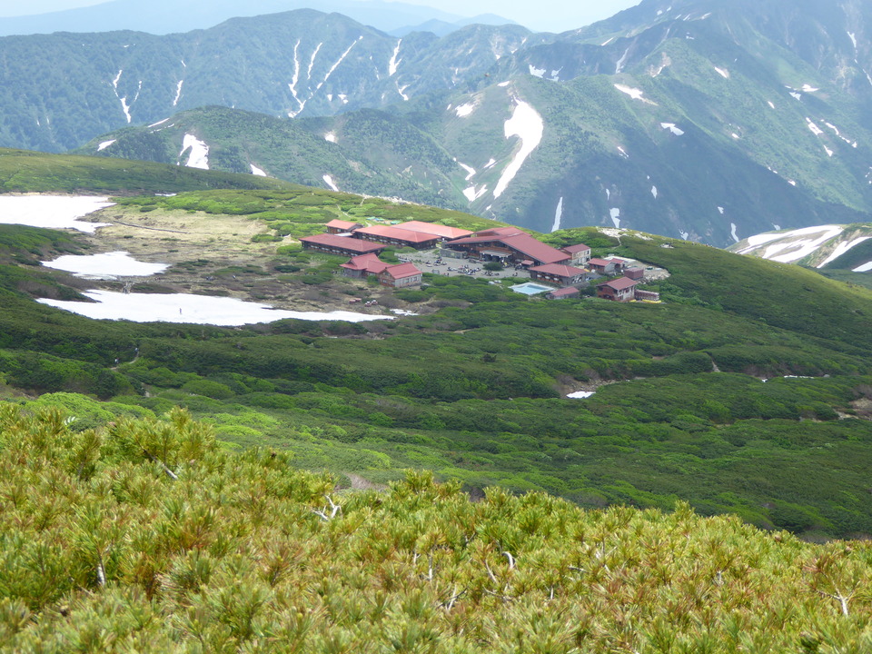 P1040521_mid.jpg