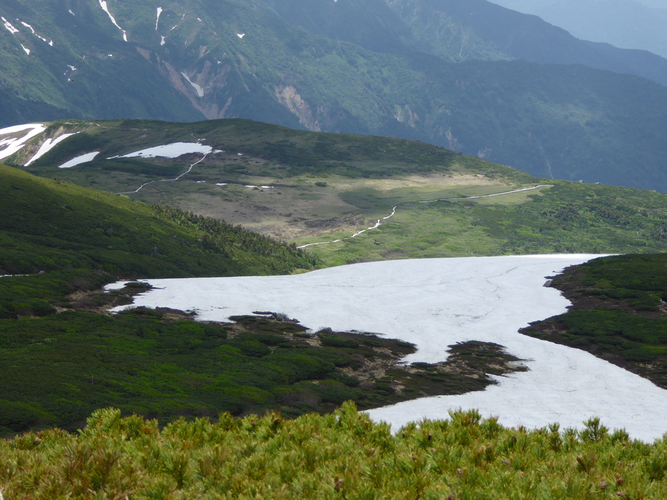 P1040522_mid.jpg