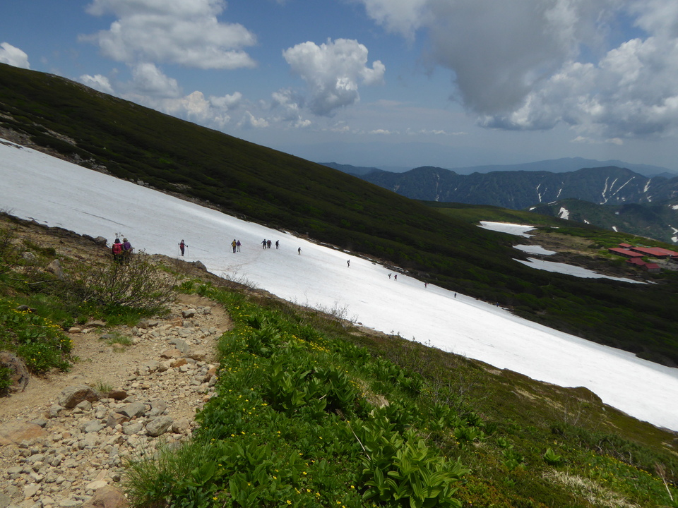 P1040524_mid.jpg