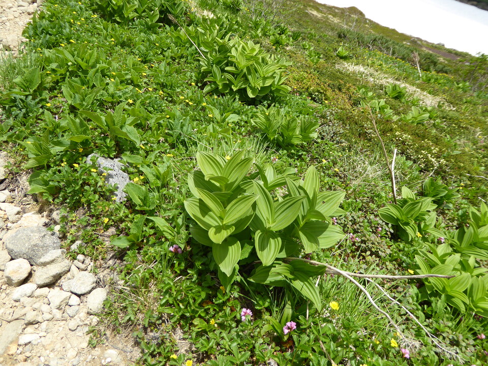 P1040526_mid.jpg