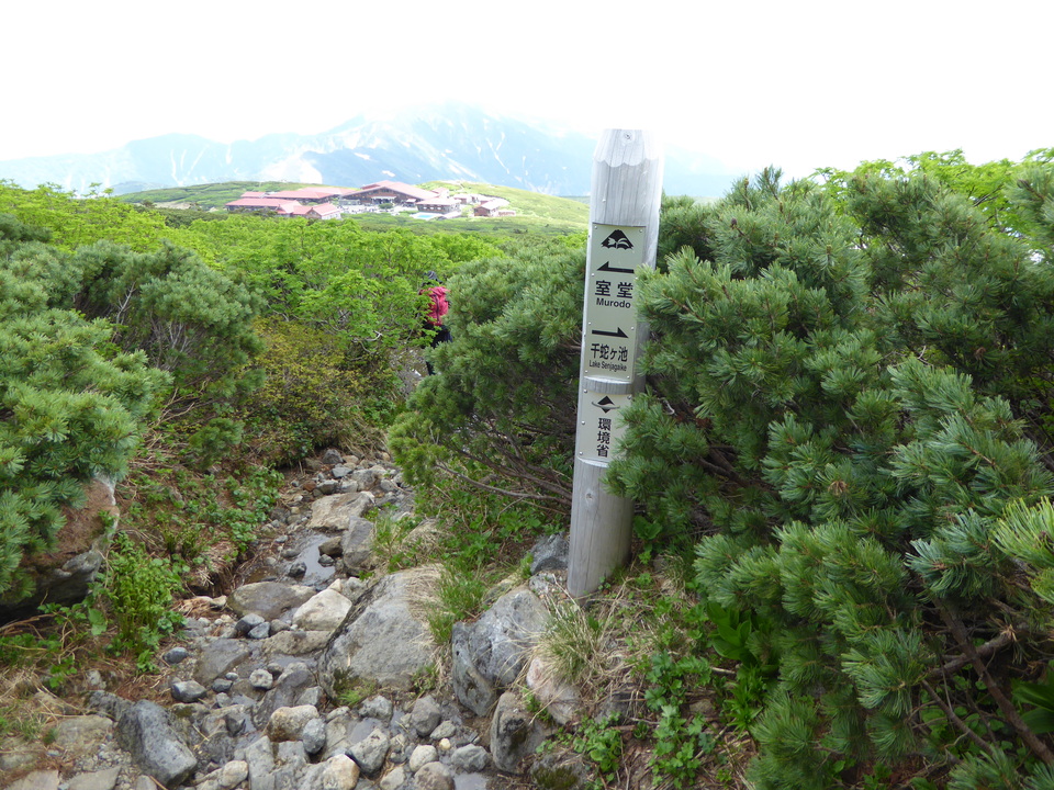 P1040543_mid.jpg