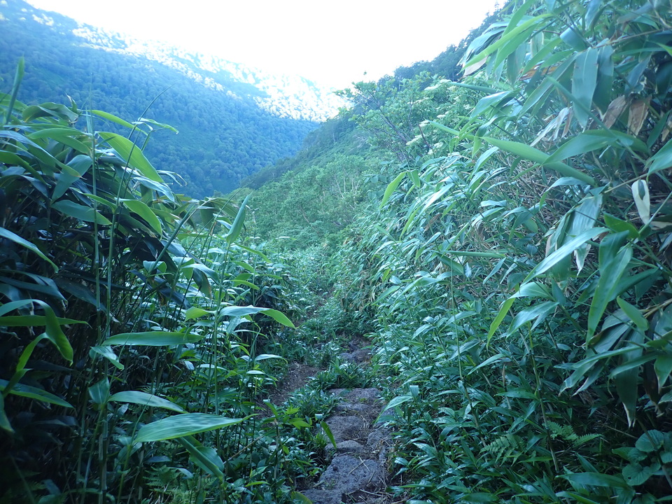 P7027559_mid.jpg