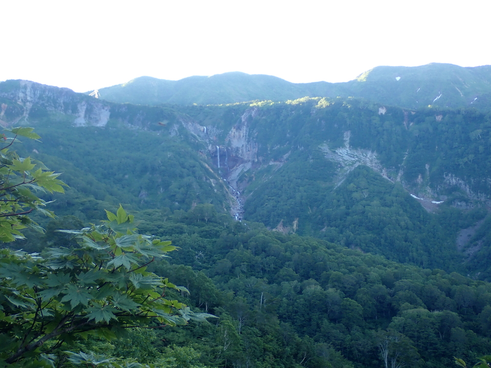 P7027561_mid.jpg