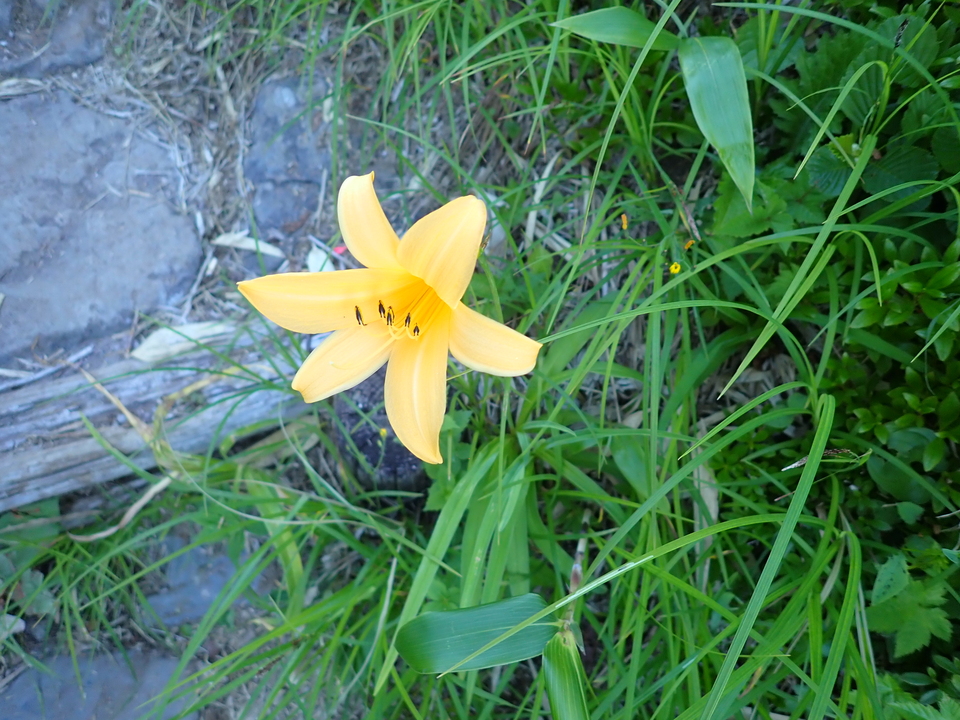 P7027626_mid.jpg