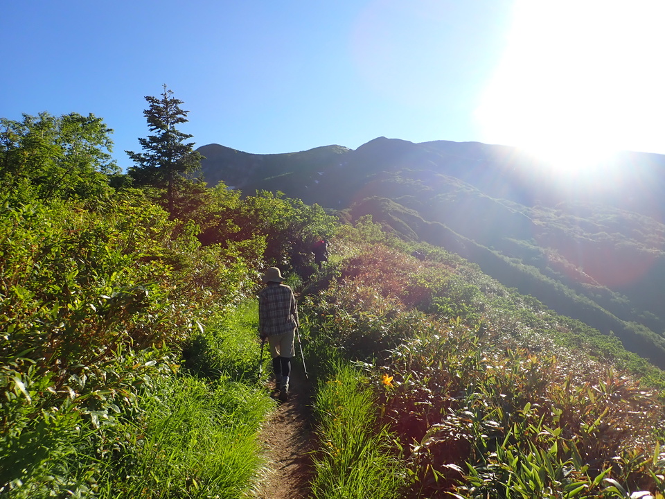 P7027637_mid.jpg