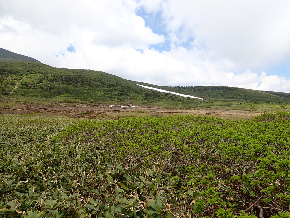 P7027656_mid.jpg