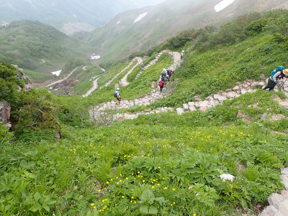 P7027663_mid.jpg