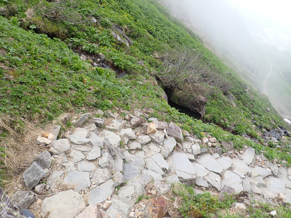 P7027669_mid.jpg