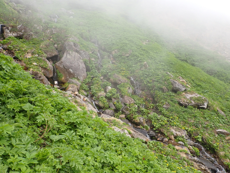 P7027670_mid.jpg