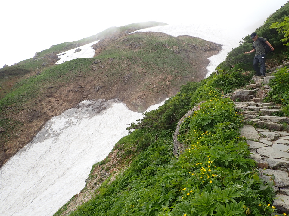 P7027672_mid.jpg