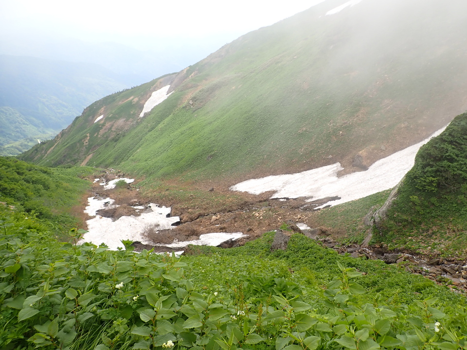 P7027678_mid.jpg