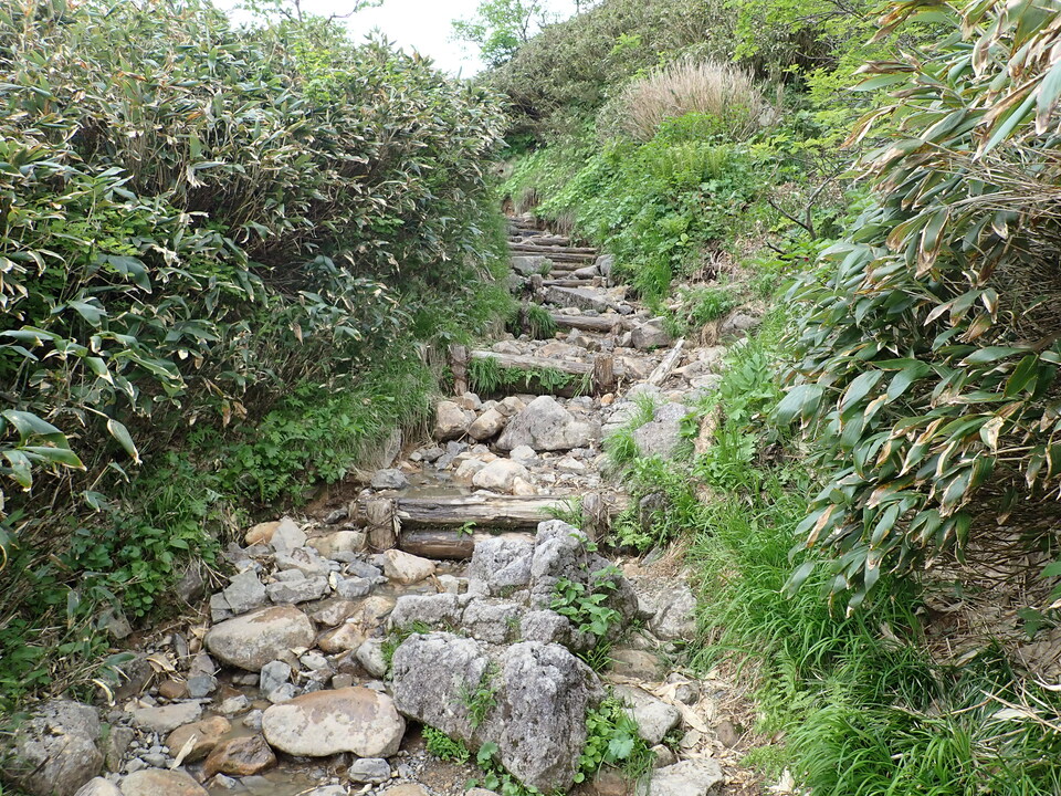 P7027686_mid.jpg
