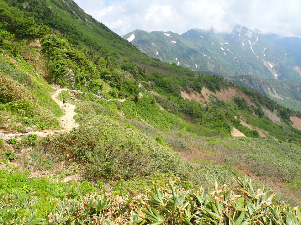 P7027694_mid.jpg