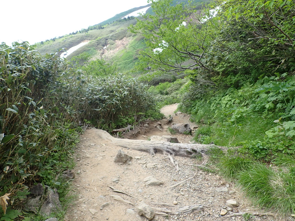 P7027697_mid.jpg