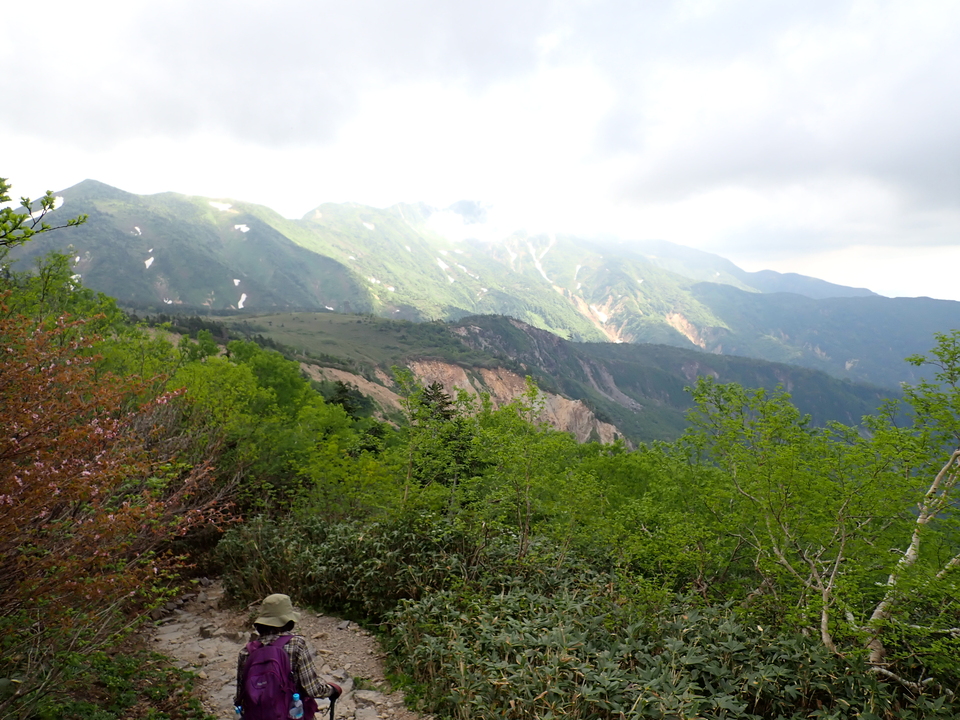 P7027706_mid.jpg
