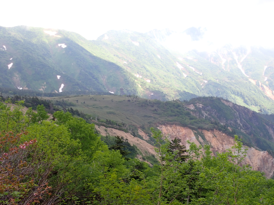 P7027707_mid.jpg