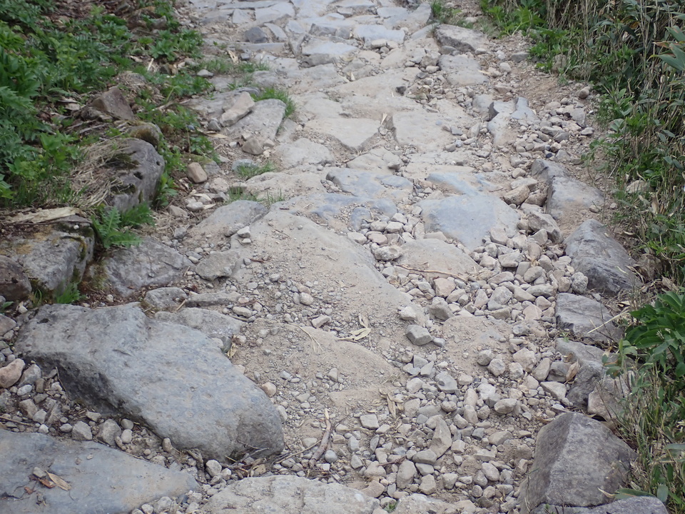P7027708_mid.jpg