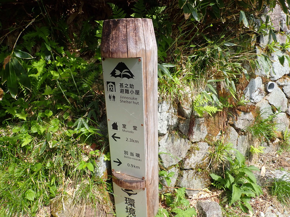 P7027712_mid.jpg
