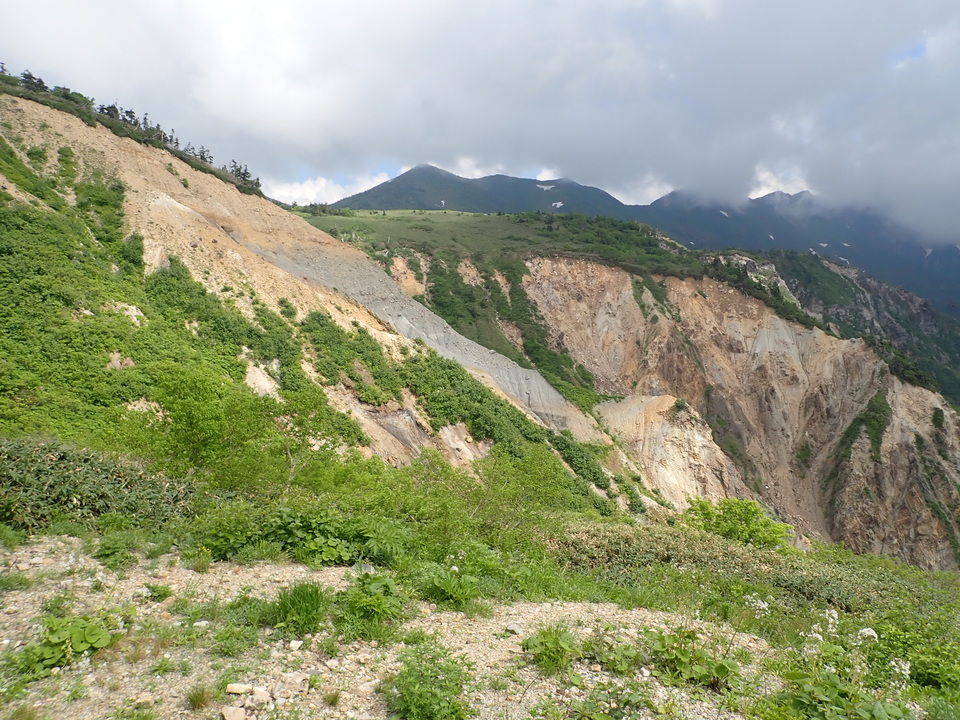 P7027716_mid.jpg
