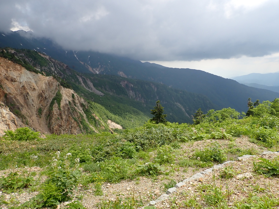 P7027717_mid.jpg