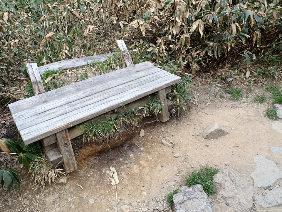 P7027729_mid.jpg