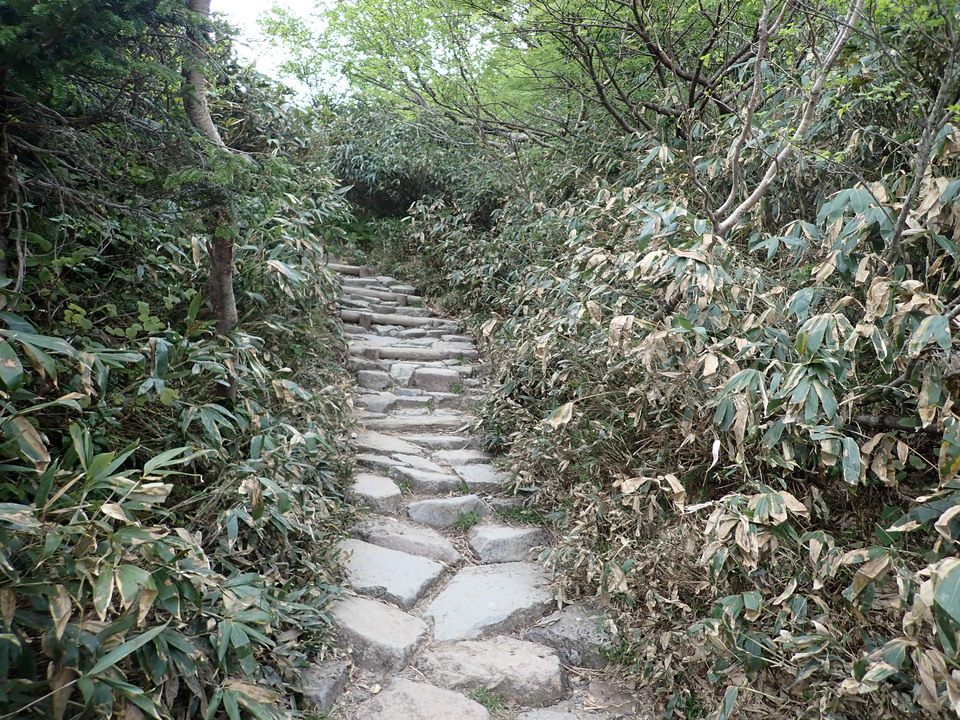 P7027731_mid.jpg