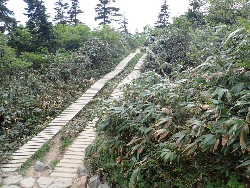 P7027732_mid.jpg