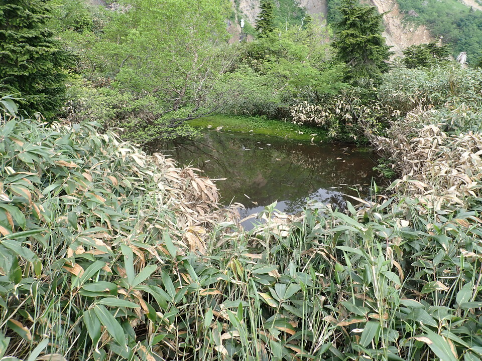 P7027733_mid.jpg