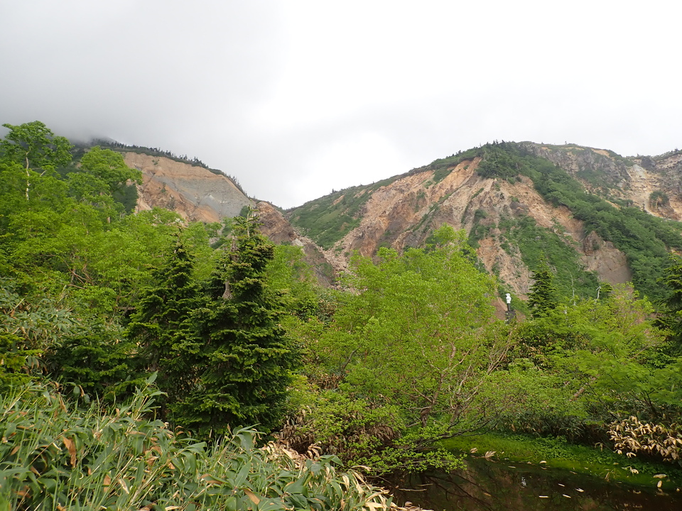 P7027734_mid.jpg