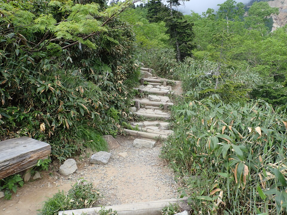 P7027735_mid.jpg