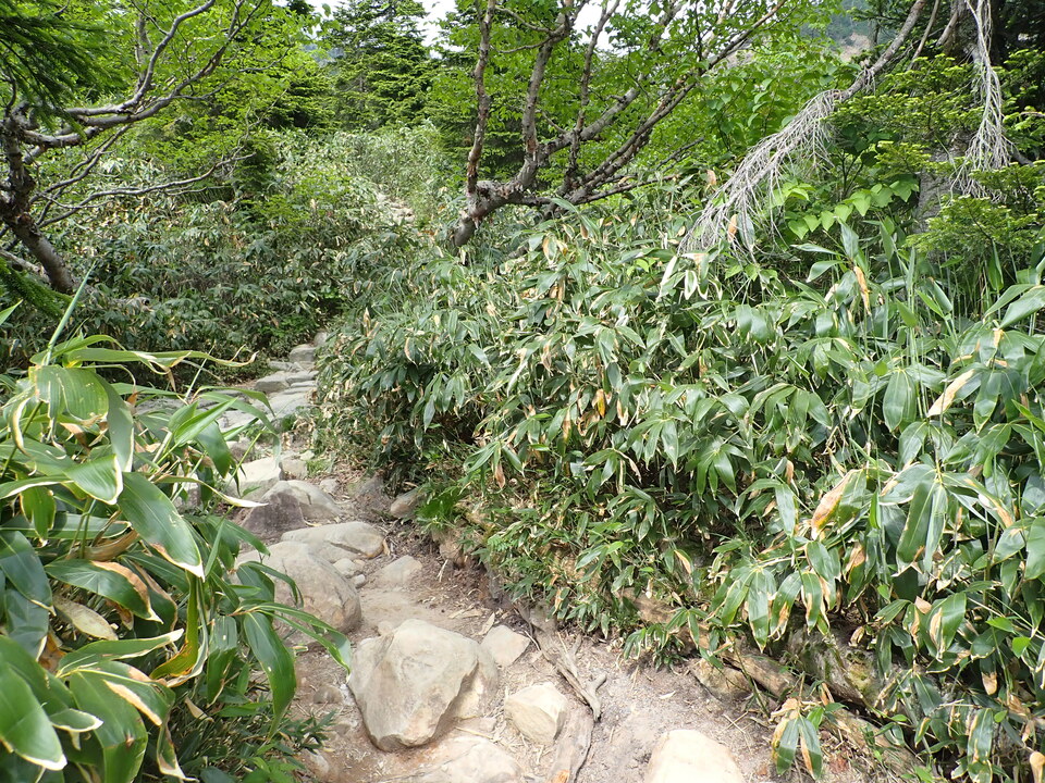 P7027737_mid.jpg