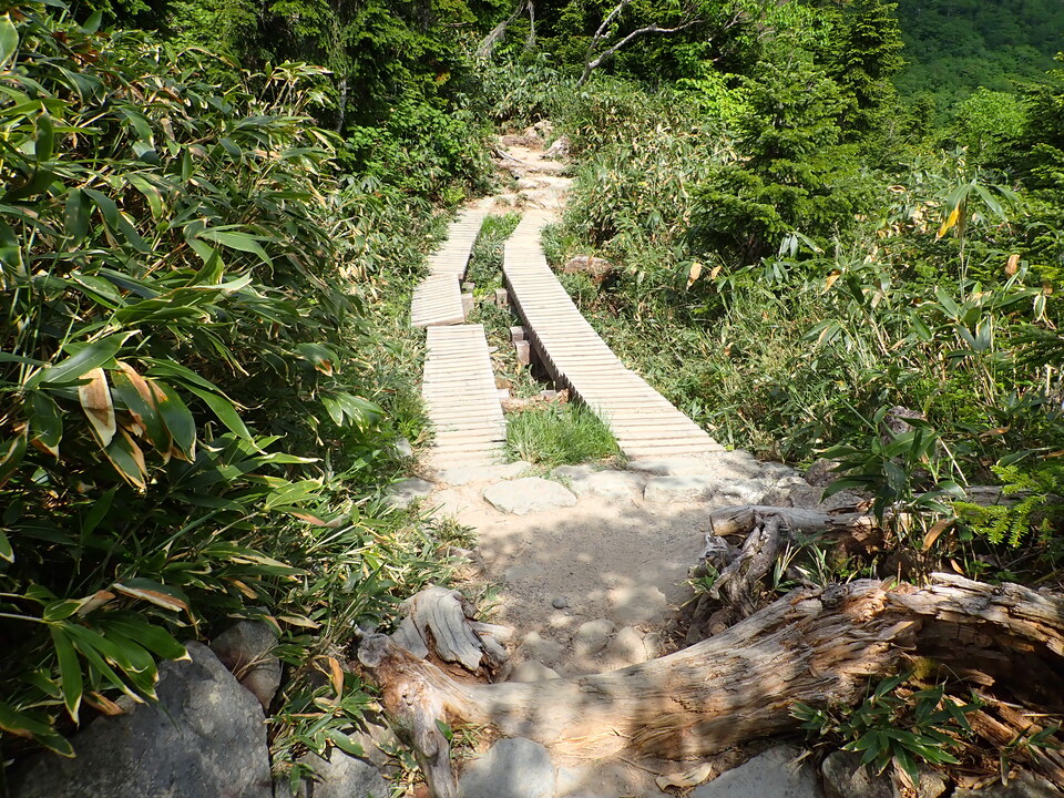 P7027739_mid.jpg