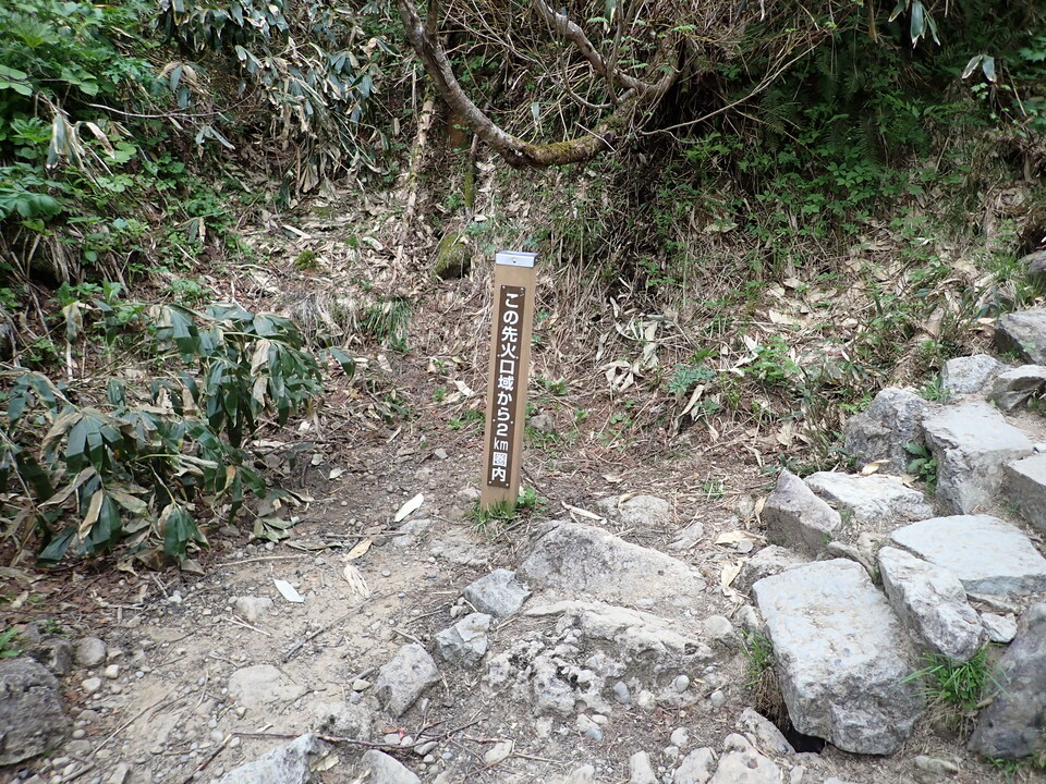 P7027741_mid.jpg