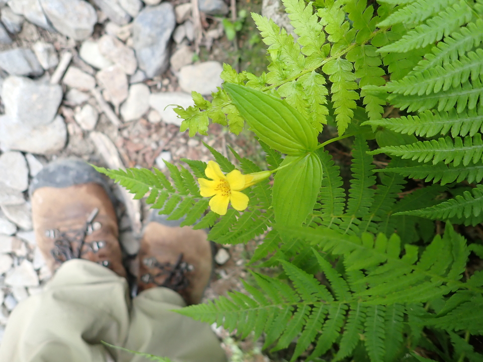 P7027743_mid.jpg